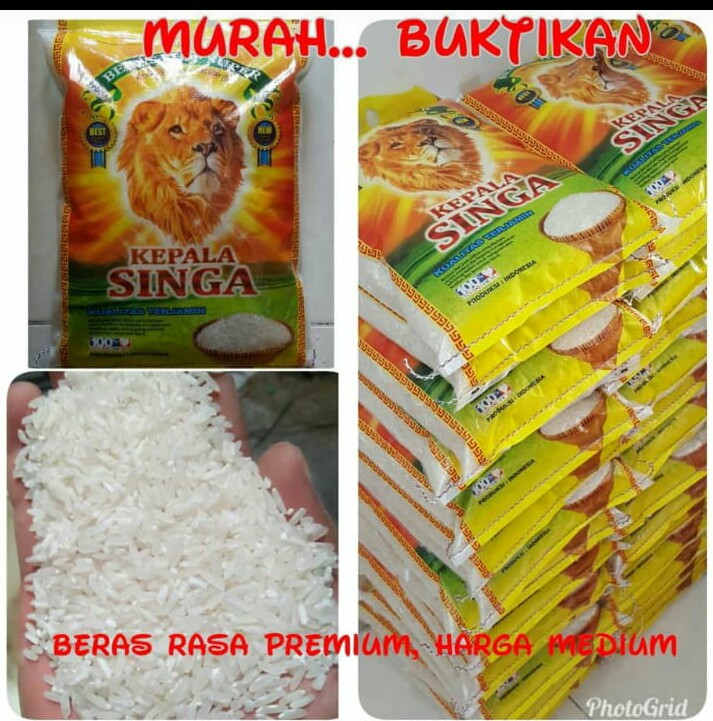 Kepala singa 5kg