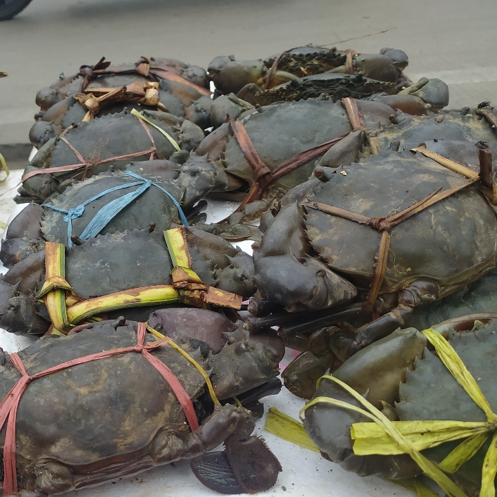 Kepiting Saus Padang