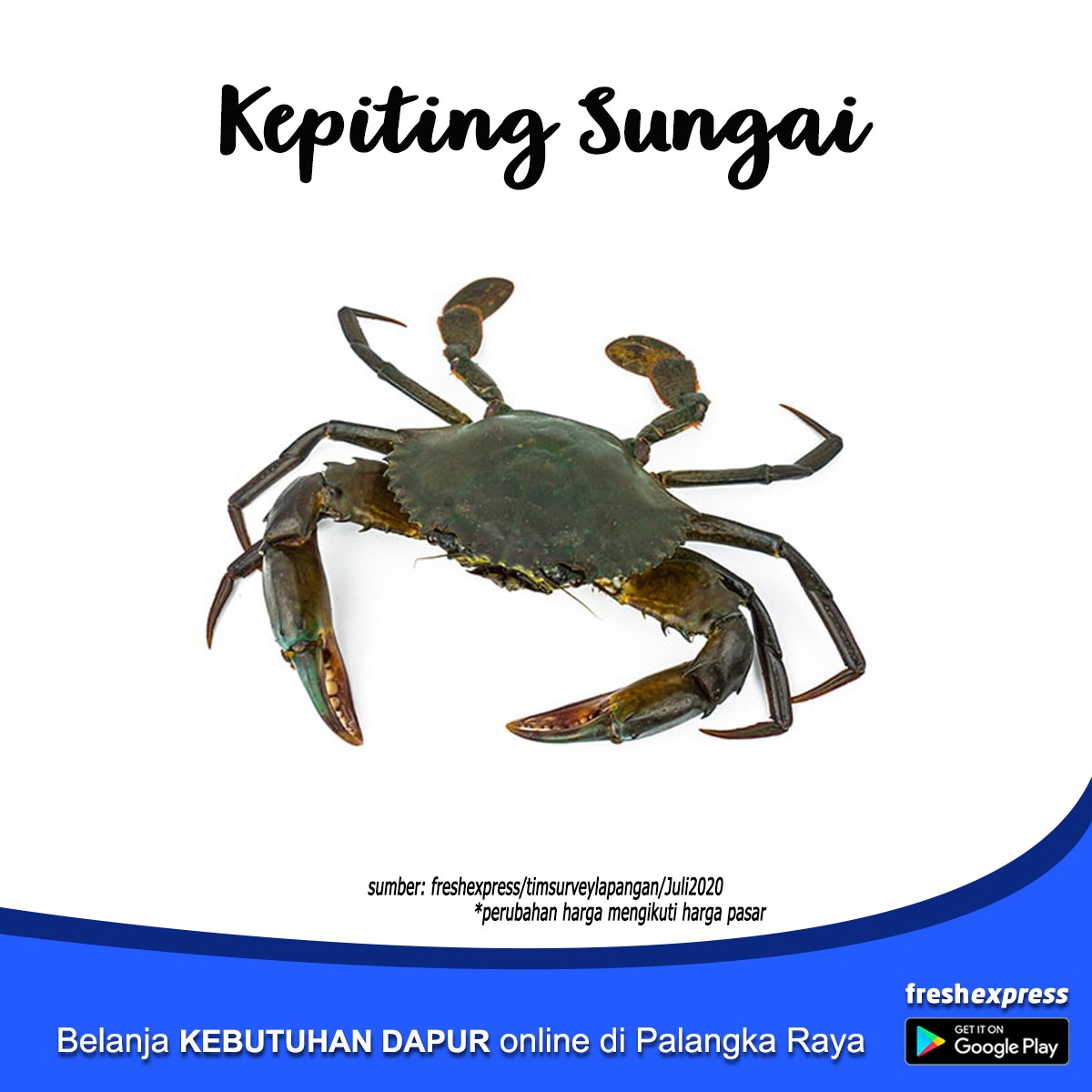 Kepiting Sungai Besar 500 Gra