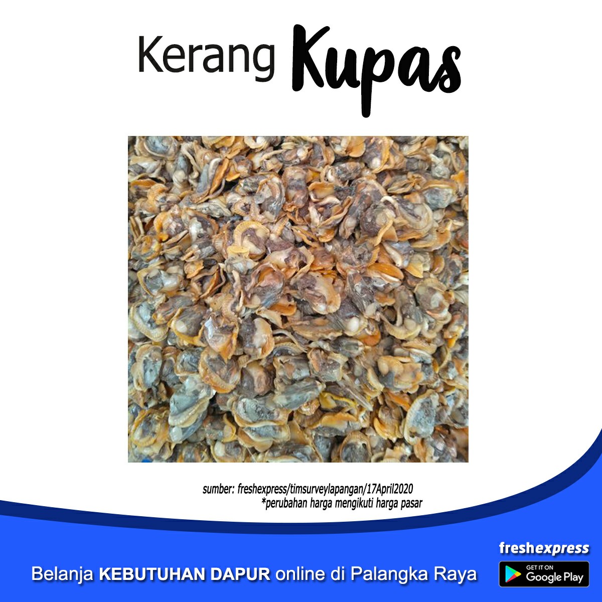 Kerang Kupas 1 Kg