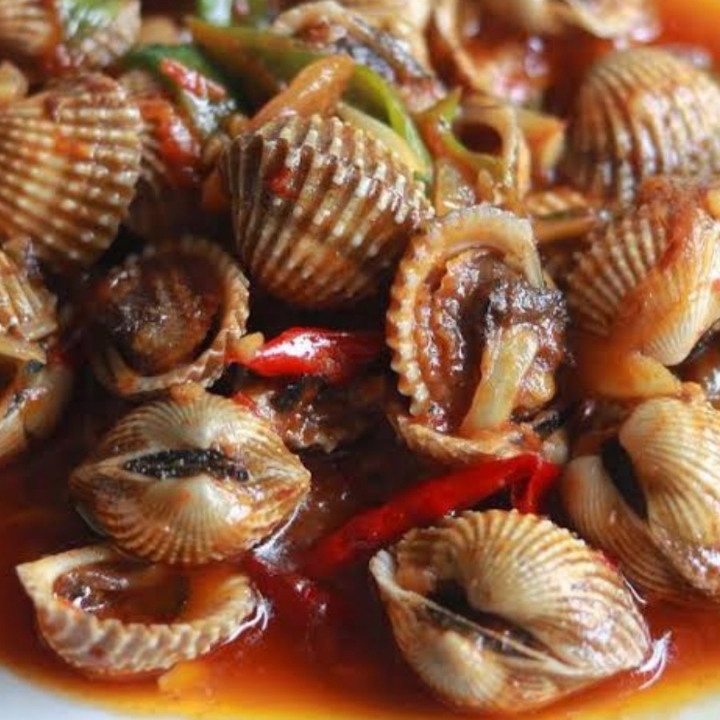 Kerang Dara