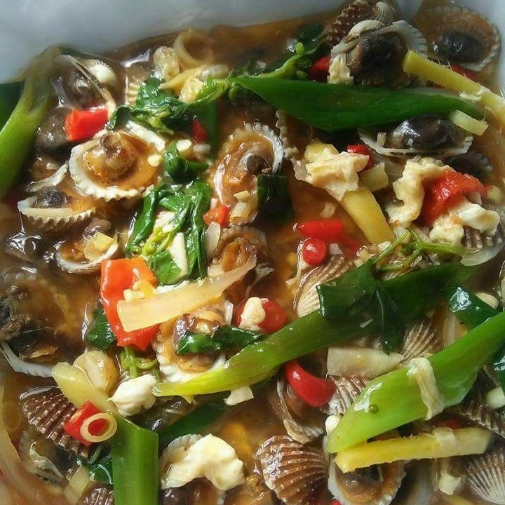 Kerang Dara
