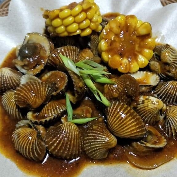 Kerang Dara