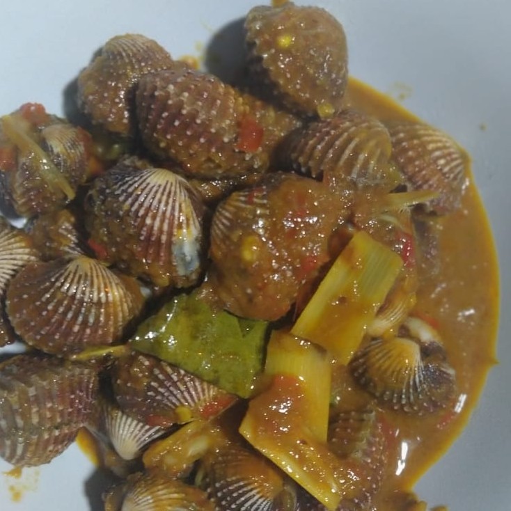 Kerang Dara