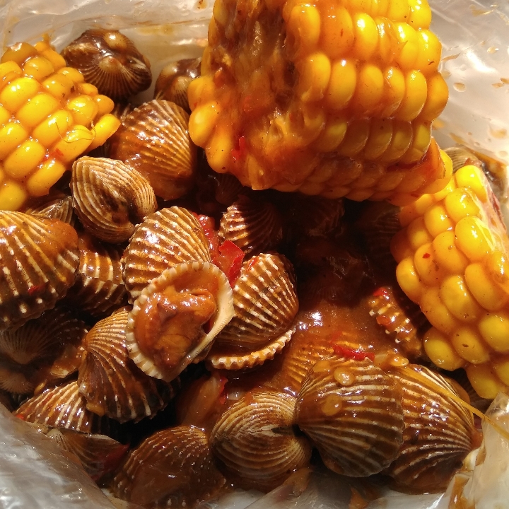 Kerang Dara
