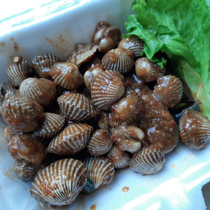 Kerang Dara Pedes Nylekit