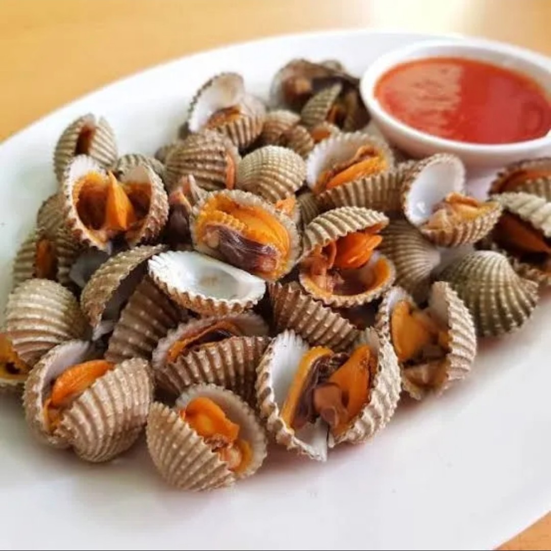 Kerang Dara Rebus