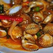 Kerang Dara Yonaris