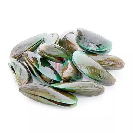 Kerang Hijau Mentah