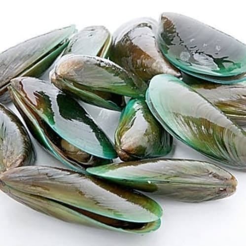 Kerang Ijo