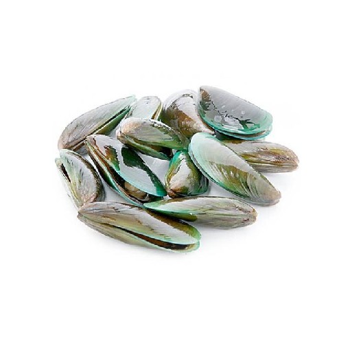 Kerang Ijo