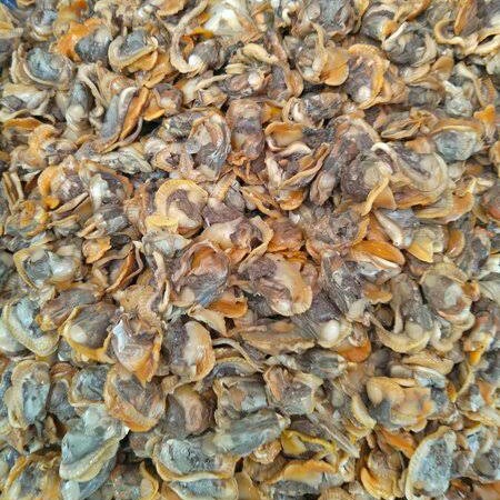 Kerang Kupas