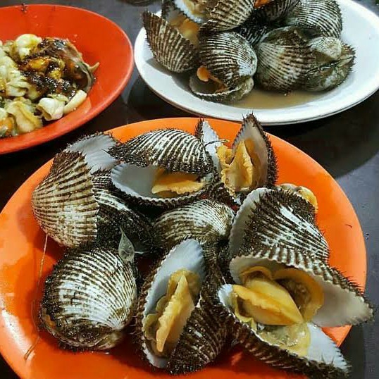 Kerang Rebus
