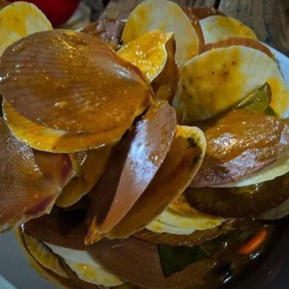 Kerang Simping