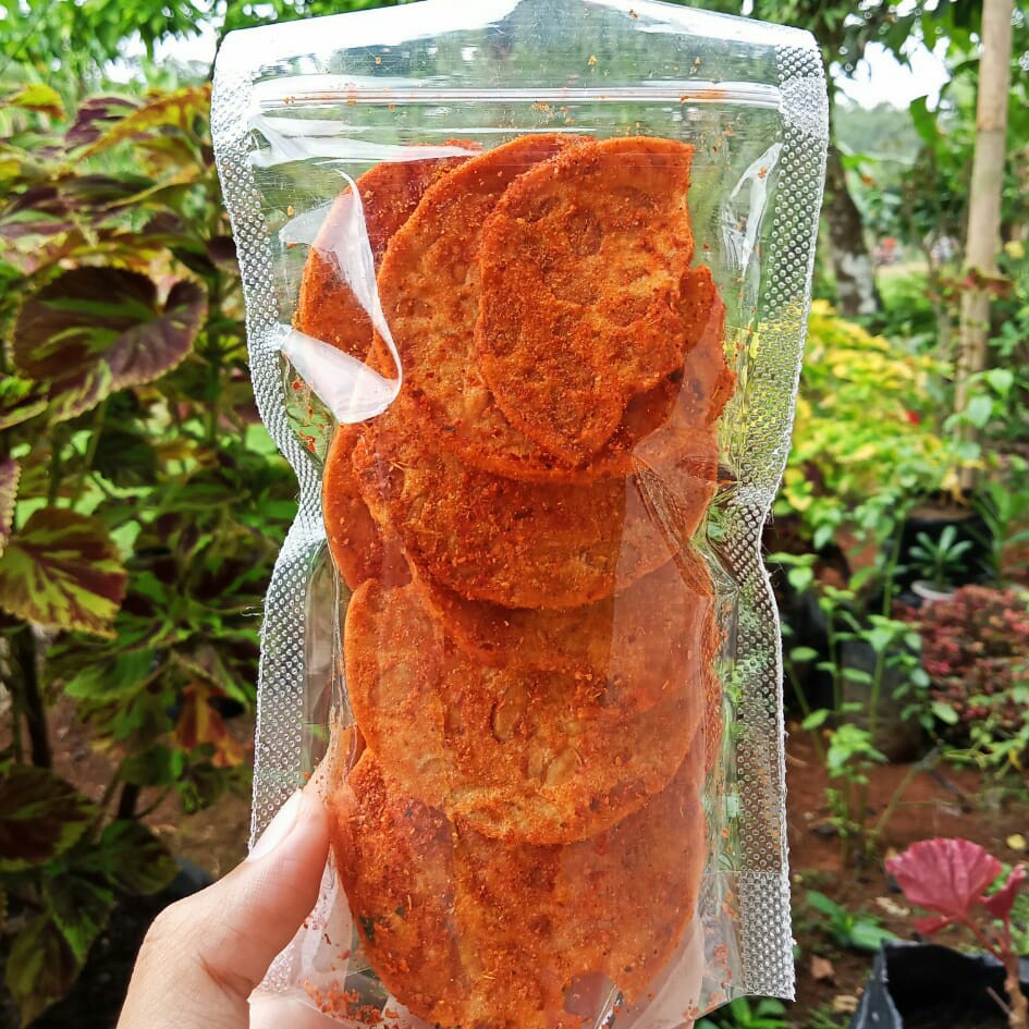 Keripik Tempe