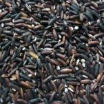 Ketan Hitam 1kg