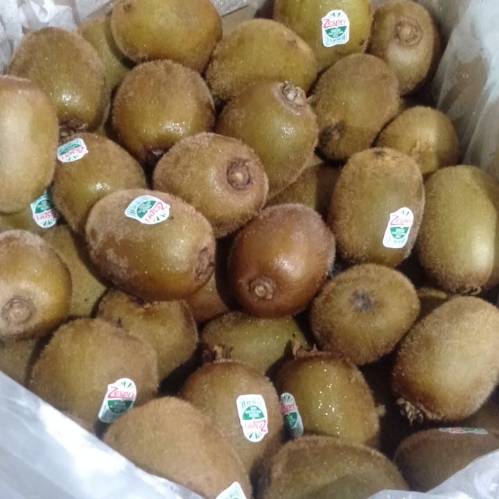 Kiwi Hijau