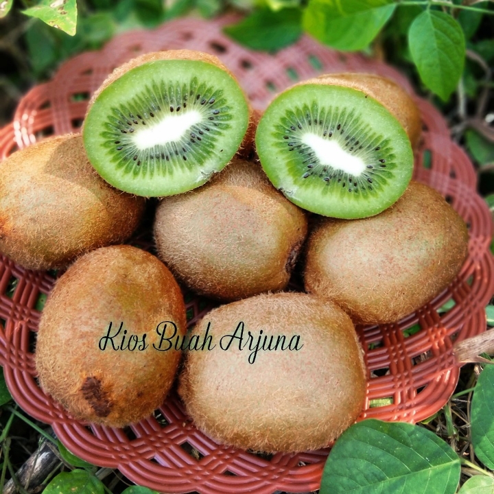 Kiwi Import