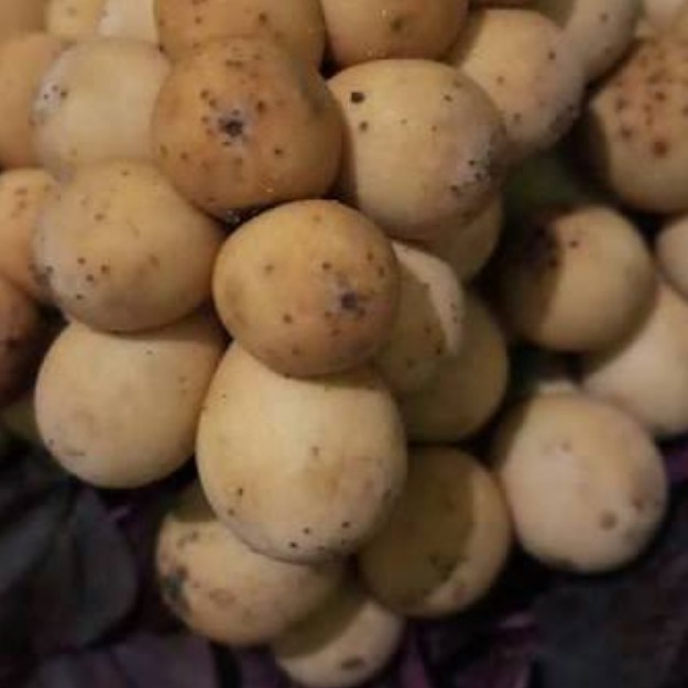 Kokosan
