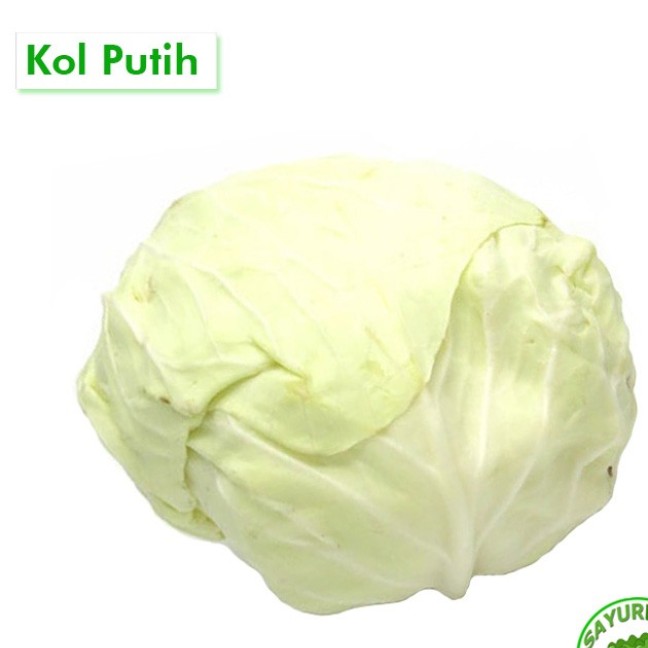 Kol Putih