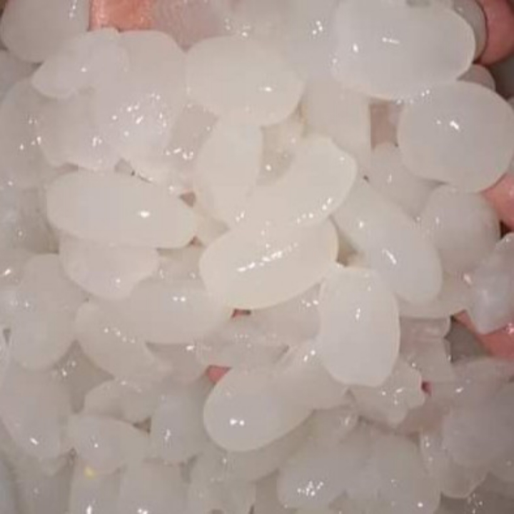 Kolang Kaling Per Kg