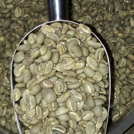 Kopi Arabica Gayo