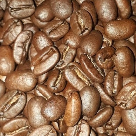 Kopi Arabica Gayo 3