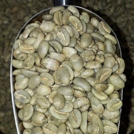 Kopi Arabica Gayo 4