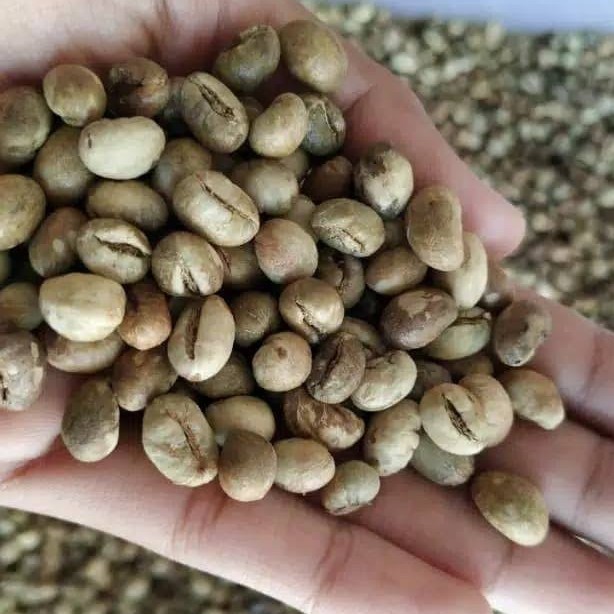 Kopi Arabica Mentah