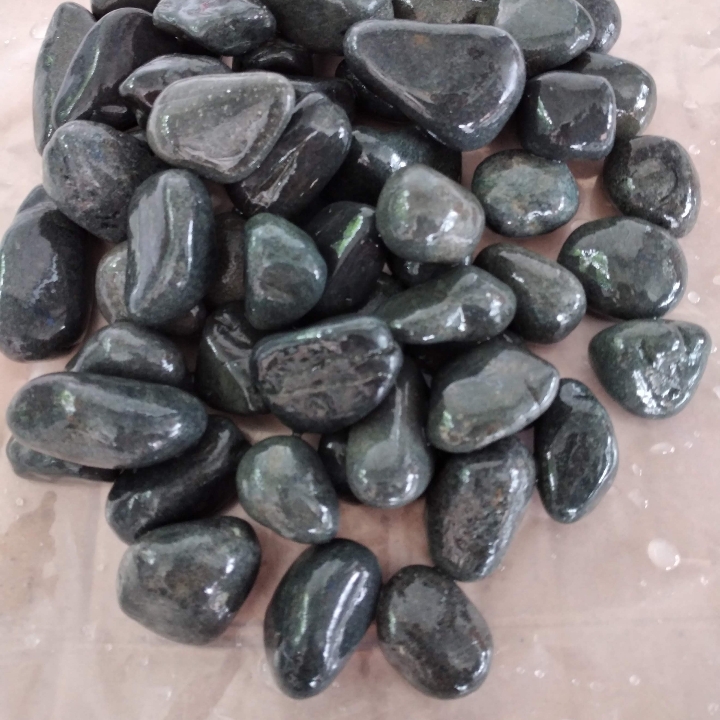 Koral Hitam