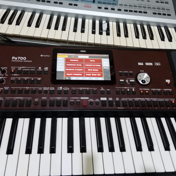 Korg Pa700 Rca