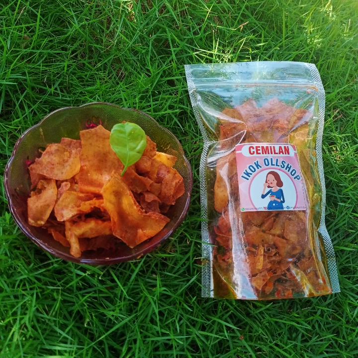 Kripset