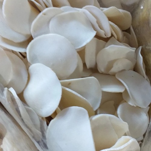 Krupuk Bawang Putih