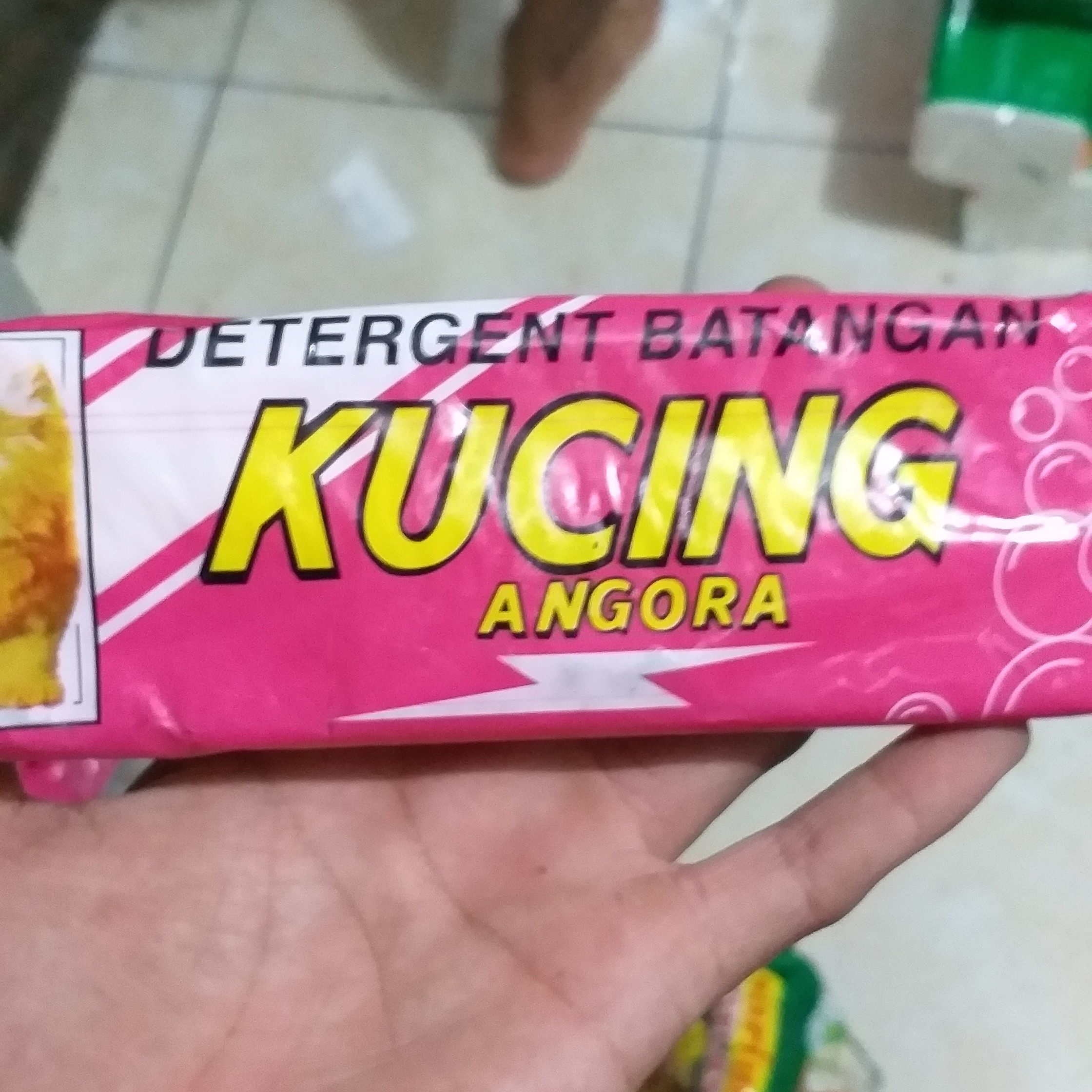 Kucing Anggora