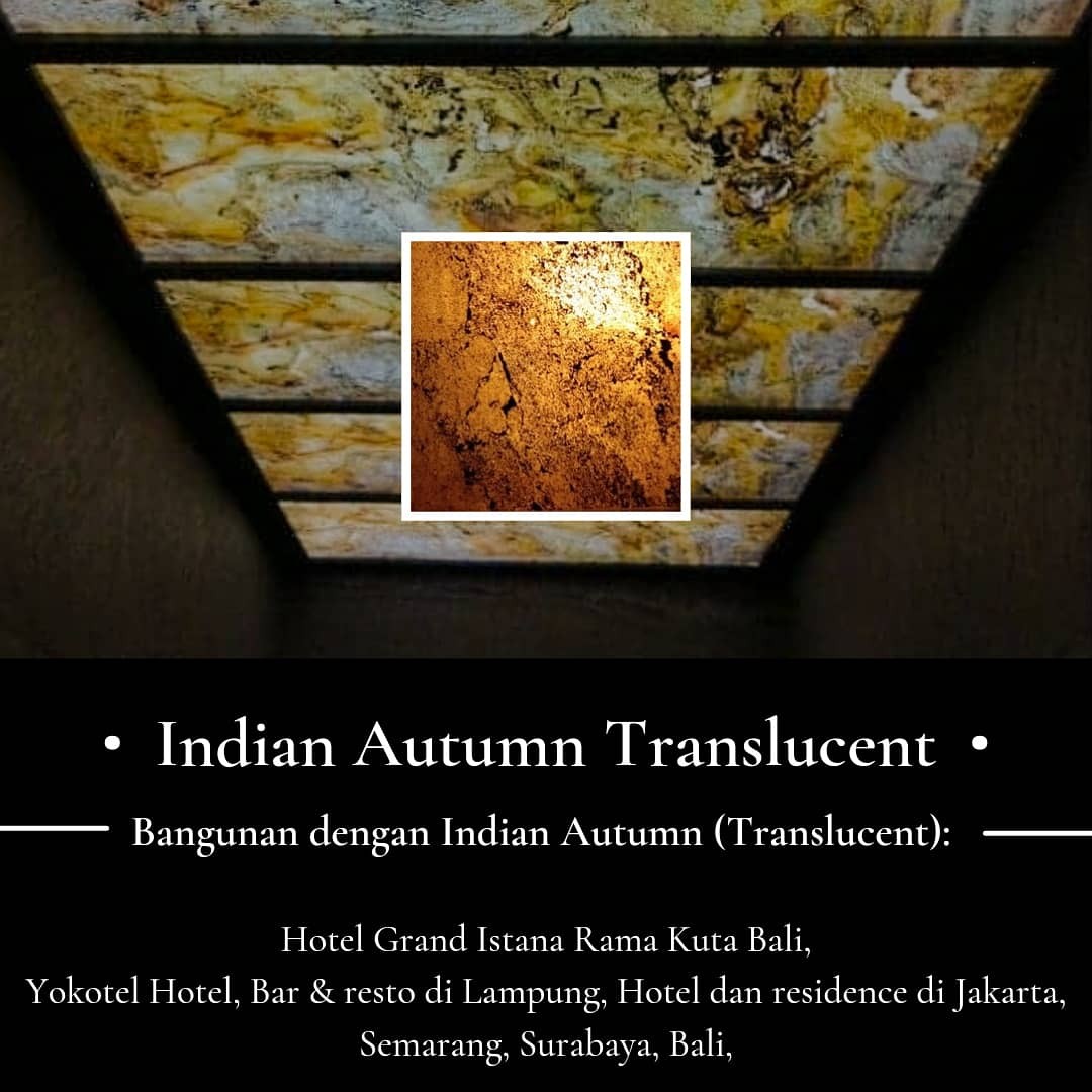 Kulit Batu Tembus CahayaTranslucent 5