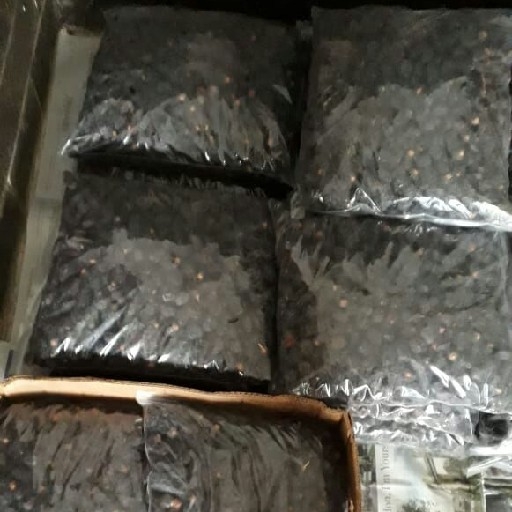 Kurma Ajwa 1kg