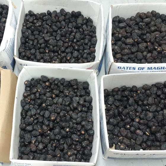 Kurma Ajwa 2