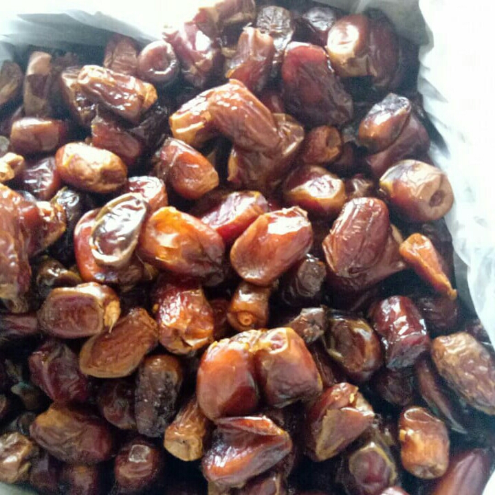 Kurma Mesir