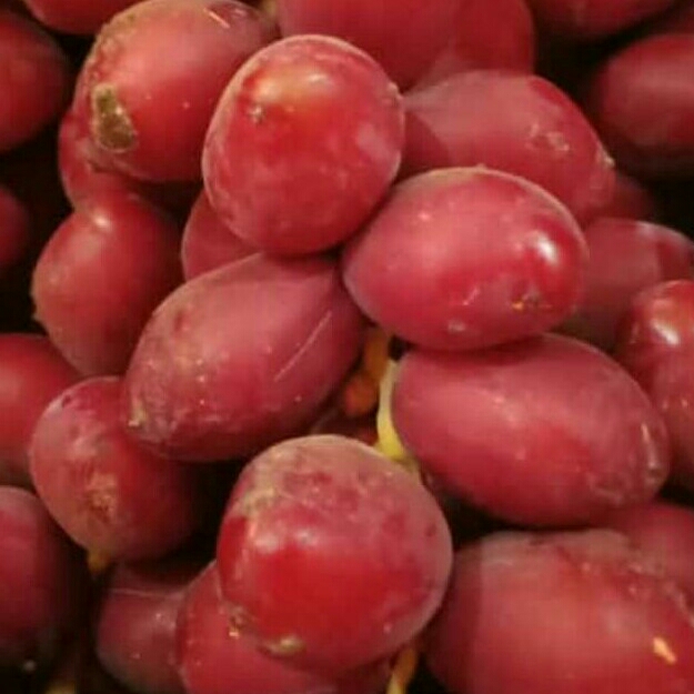 Kurma Muda Kuning Dan Merah