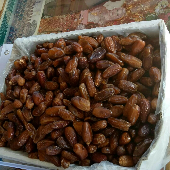 Kurma Tunisia