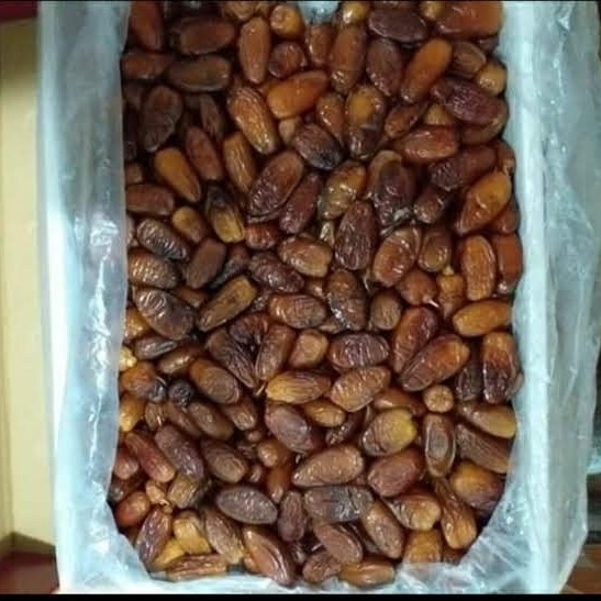 Kurma Tunisia Madu