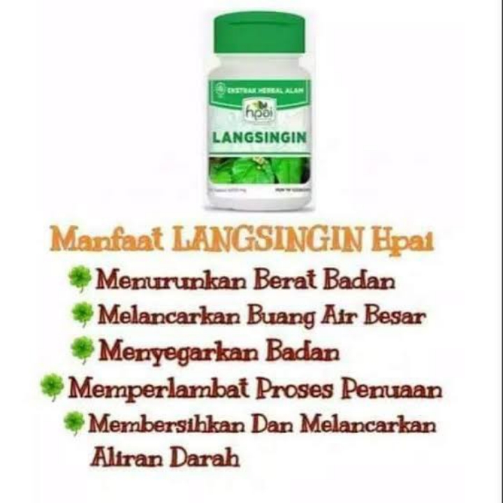 LANGSINGIN 2
