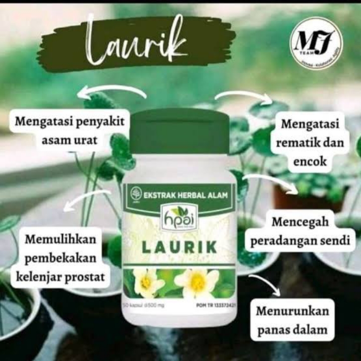 LAURIK Herbal Nyeri Sendi 4