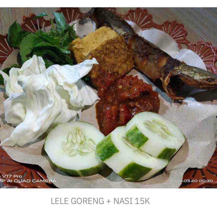 LELE GORENG NASI