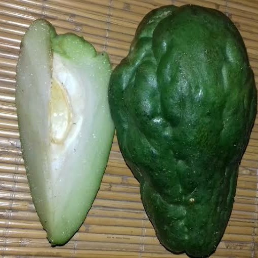 Labu Siam