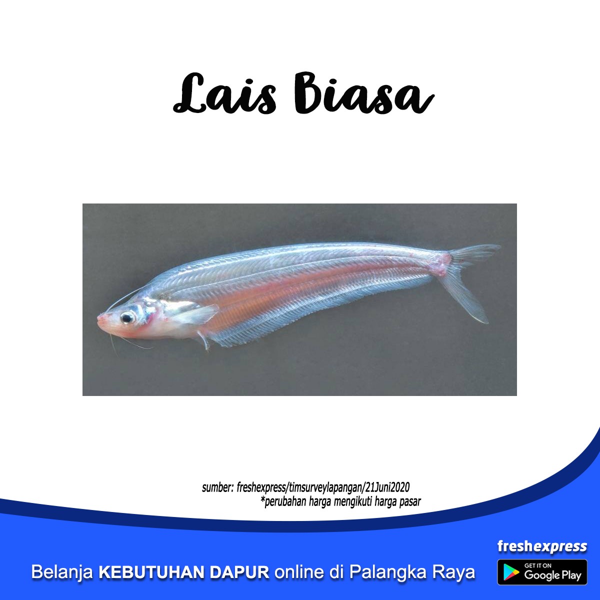 Lais Biasa 1 Kg