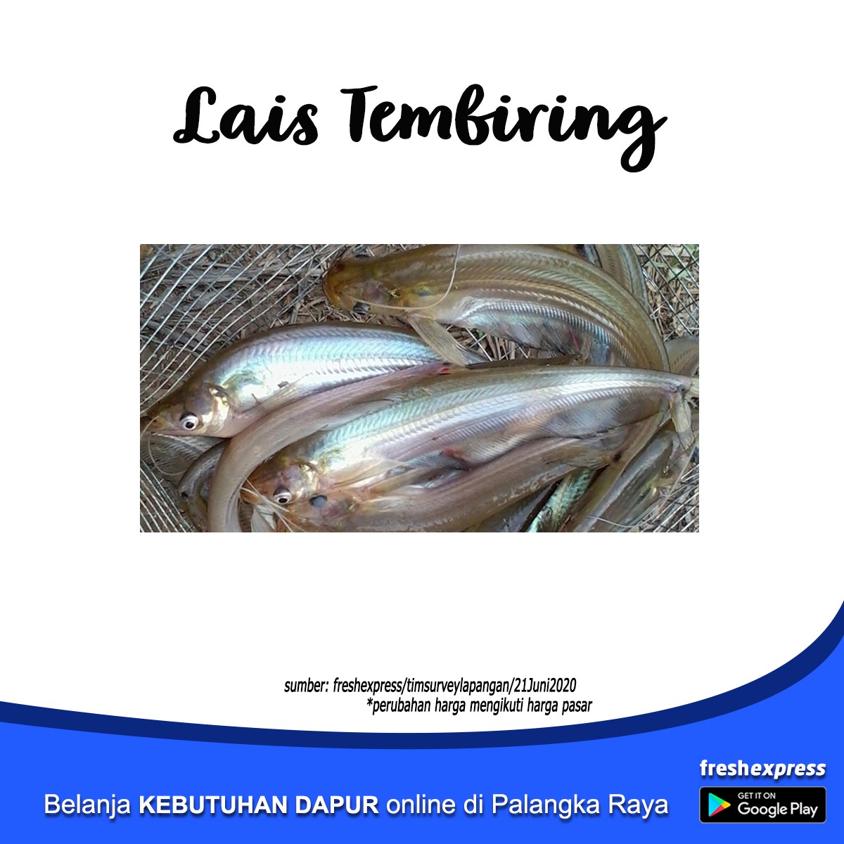 Lais Tembiring 500 Gram