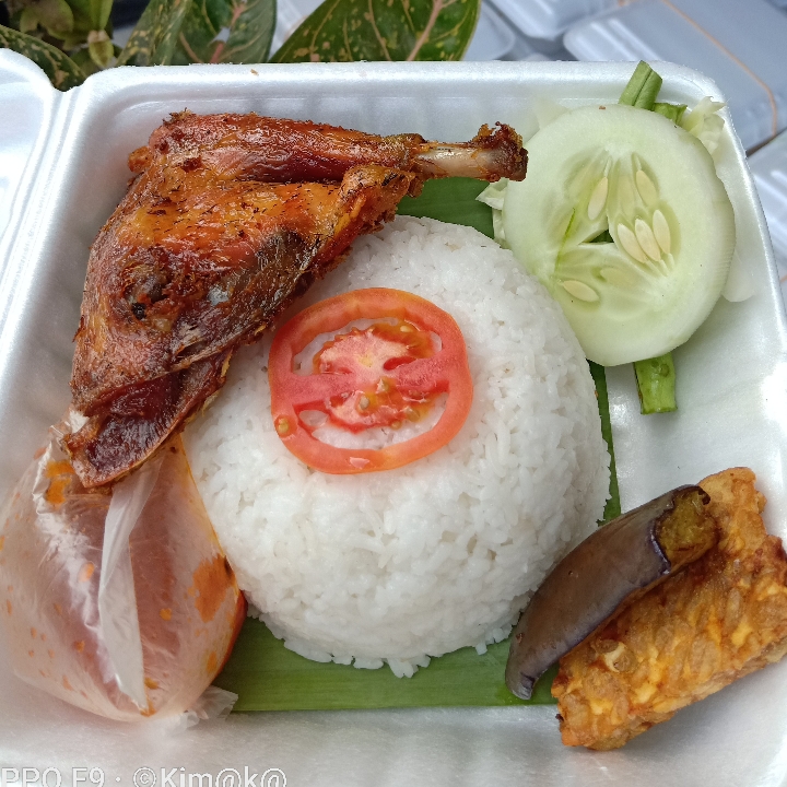 Lalapan Ayam Kampung
