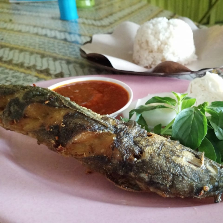 Lalapan Ikan Lele Jumbo Tanpa Nasi 2