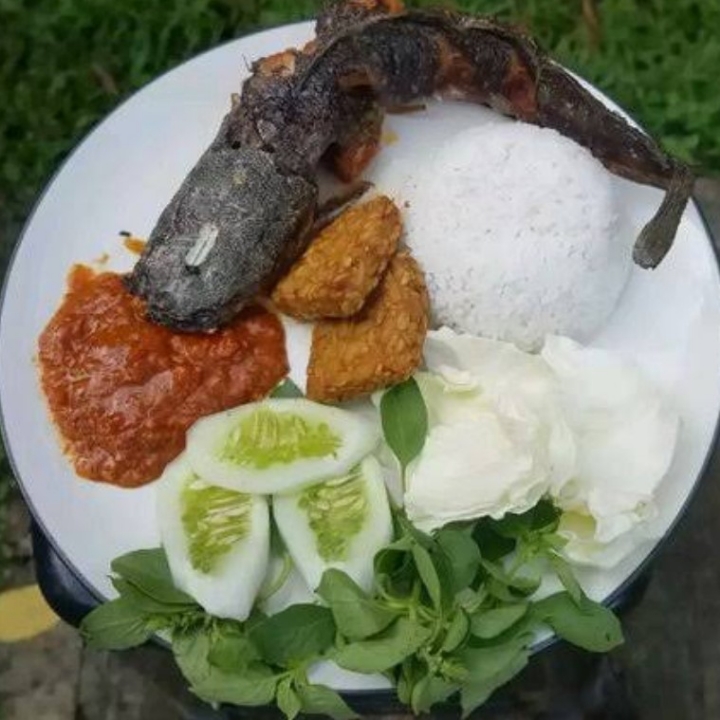 Lalapan Lele